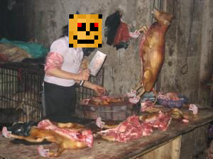 dogmeat.png