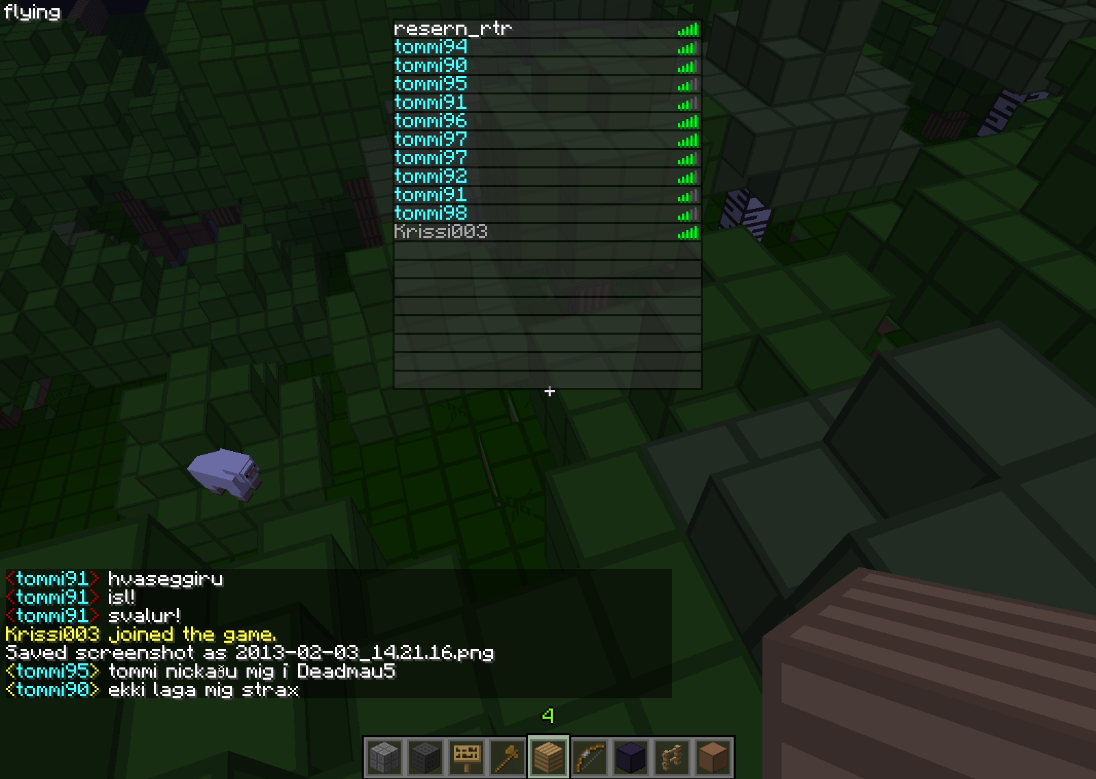 2013-02-03_14.21.19.png