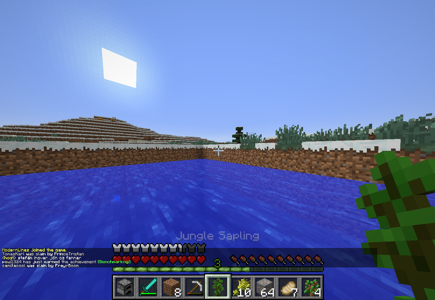chunk glitch