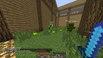 Og hér er eg drepinn af 2 og ég var lvl 20 og ehv :( iron armor og flr Mjög leiðilegt