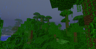 Jungle