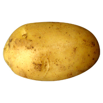 potato-potato.jpg